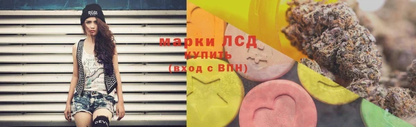 гашик Алексеевка