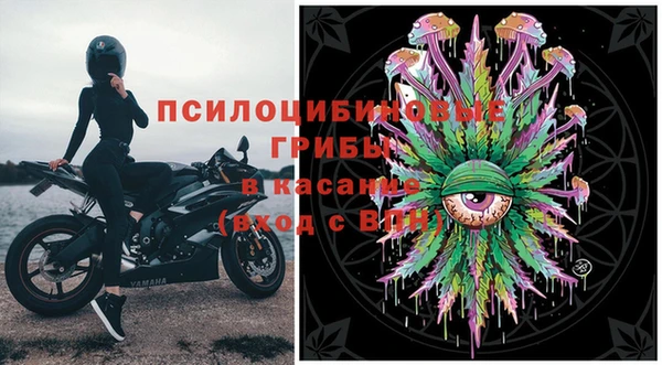 spice Алзамай