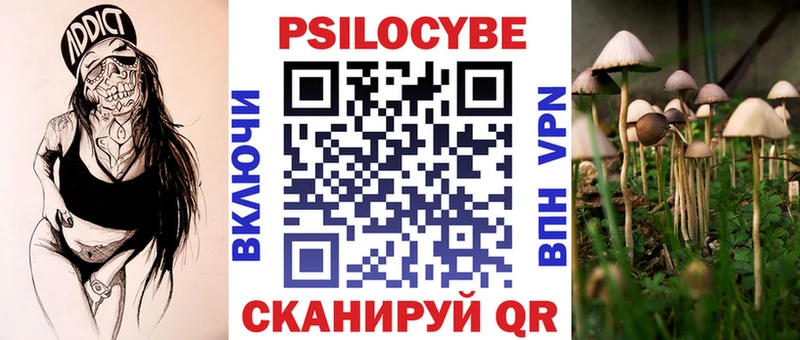 Псилоцибиновые грибы Psilocybine cubensis  мега tor  Железногорск-Илимский 
